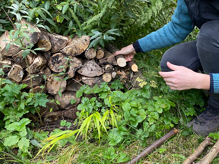 En lille brændestabel af tykke grene. Foto: Haveselskabet