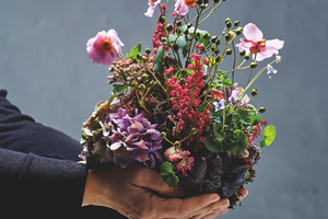 Giv en grøn julegave - giv haven i gave