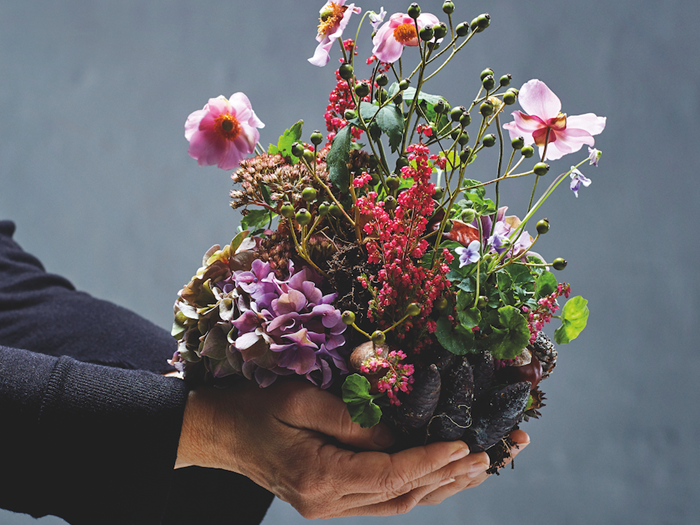 Giv en grøn julegave - giv haven i gave