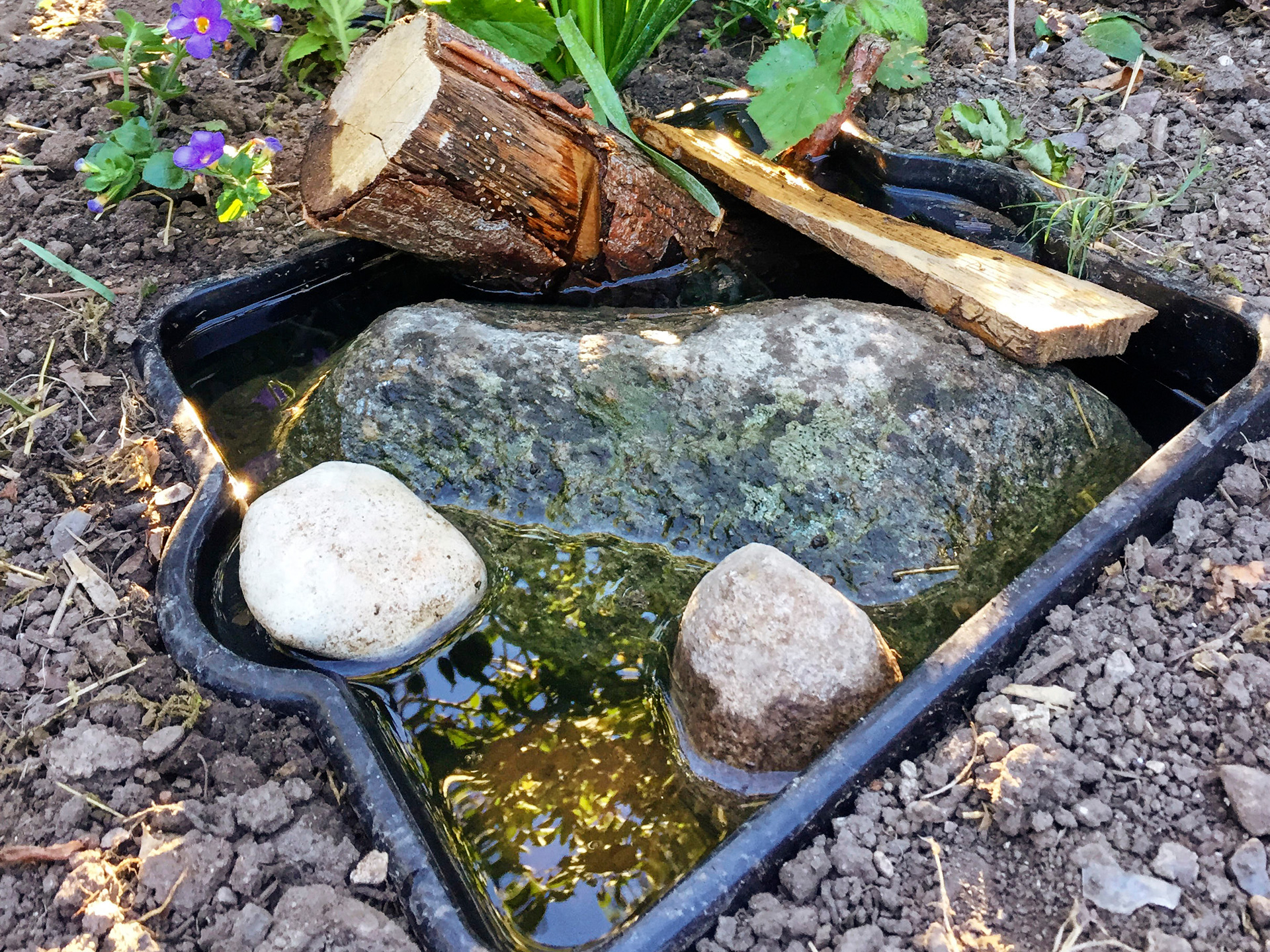 Lille dam med vand og sten som trapper. Foto: Haveselskabet