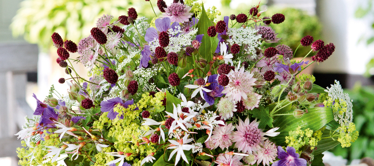 Sommerbuket af stauder. Foto: Lene K