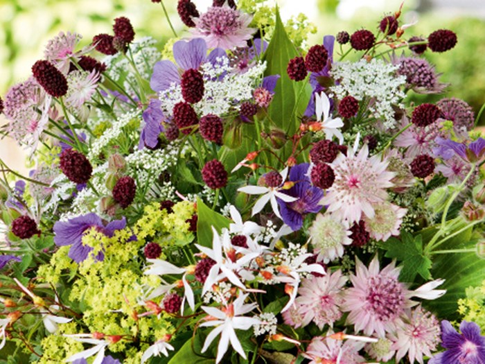 Sommerbuket af stauder. Foto: Lene K