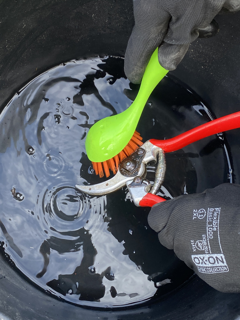 Redskaber bør rengøres for snavs og plantesaft og derefter desinficeres mellem hver plante de bruges på. Foto Bodil Damgaard Petersen