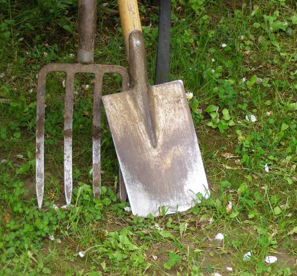 Haveredskaber. Foto: Haveselskabet