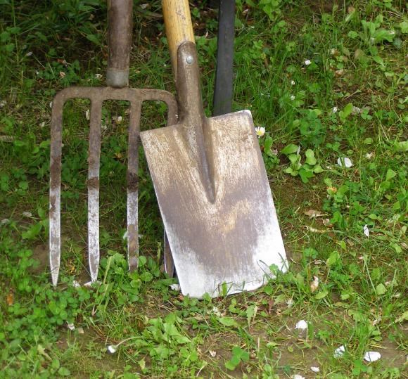 I stedet for at bruge pap som "bund" i dit gravefri bed, anbefaler Haveselskabet at man graver én gang, og vender tørven.