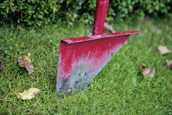 En kantskærer er en slags flad spade, man kan trykke ned i græsset med foden og hive op i skaftet med hænderne. Den giver en helt lige kant. Foto: Ida Wang