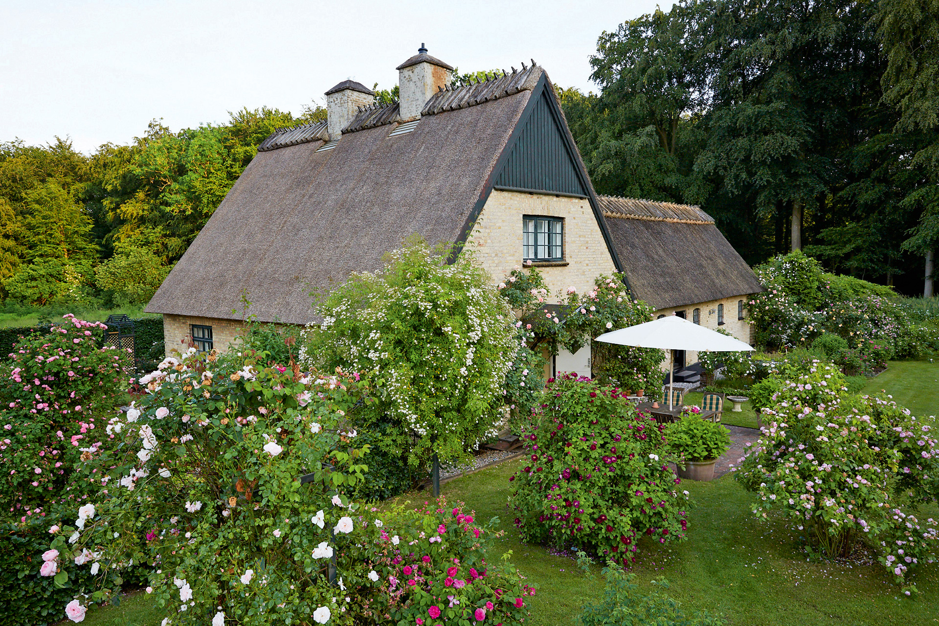 Peter Ørum Schergs rosenhave. Foto: Thomas Evaldsen