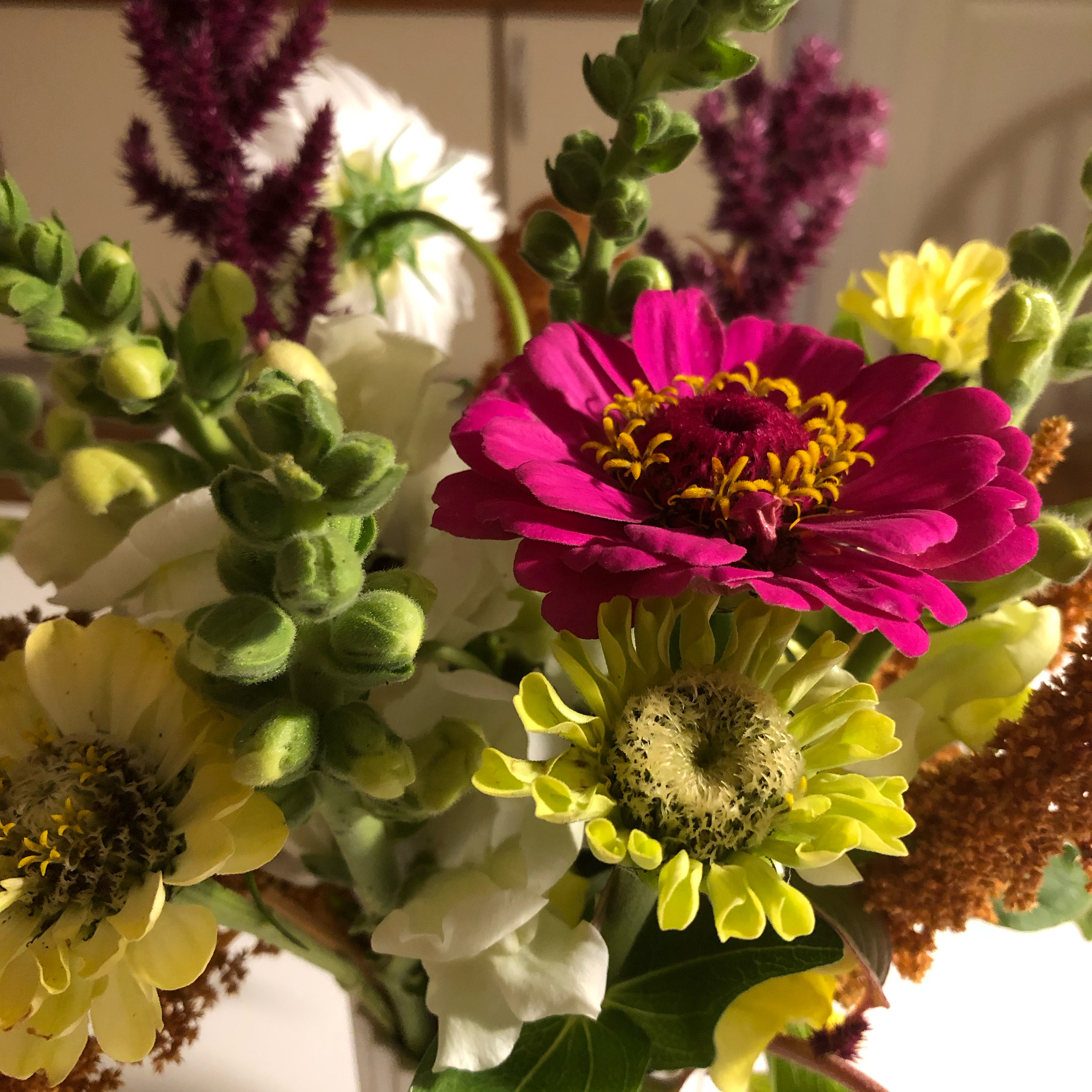 Buket af hjemmedyrkede sommerblomster. Foto: Pia Jensen