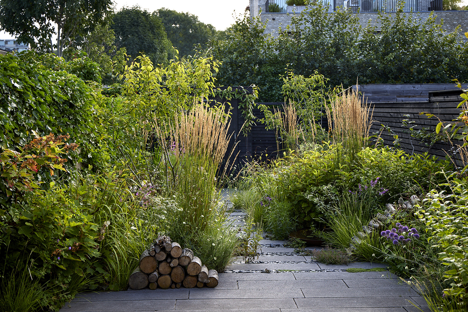 Foto: Alister Thorpe