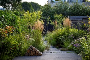 Foto: Alister Thorpe