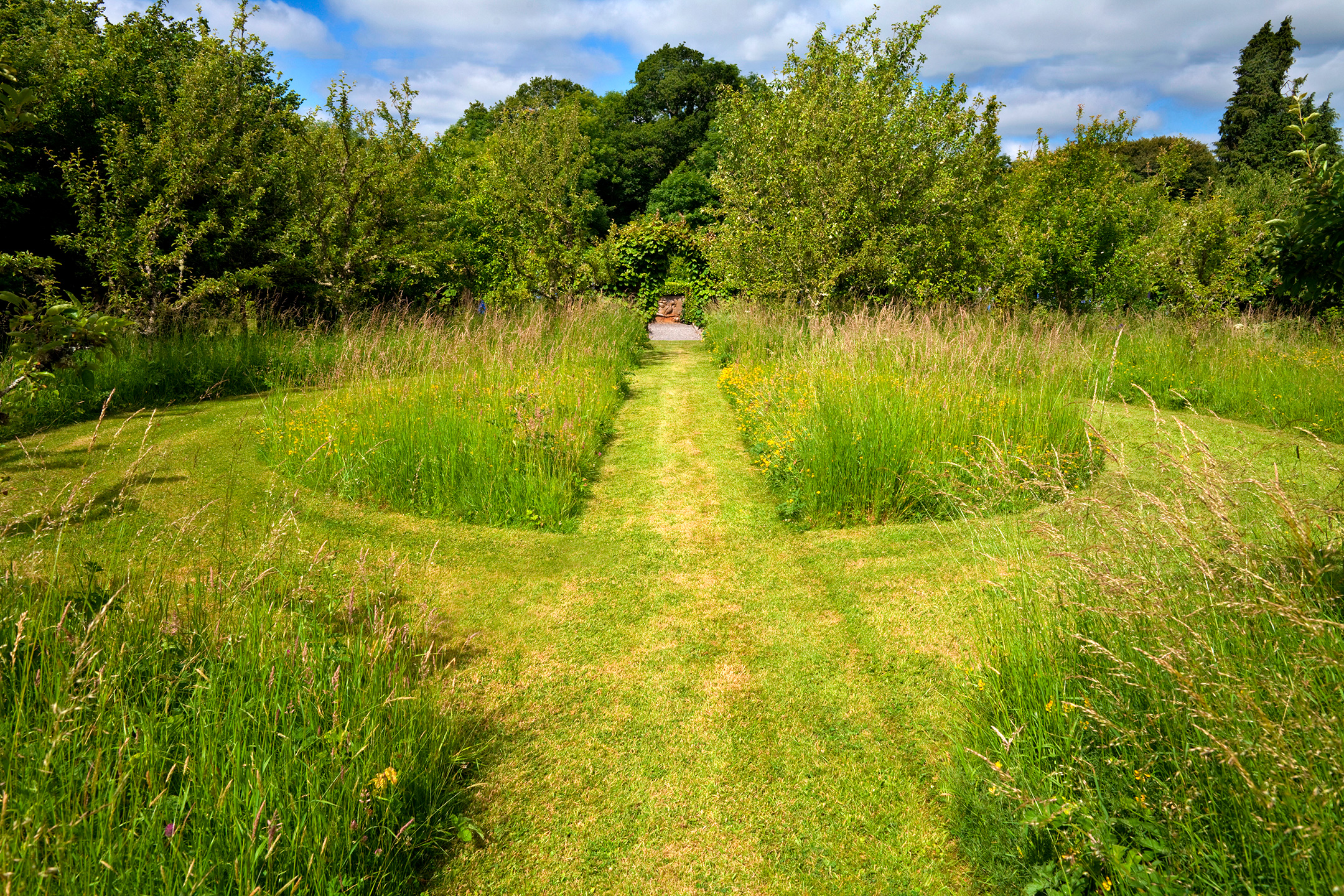 Klippede stier i langt græs. Foto: Alamy/George Munday