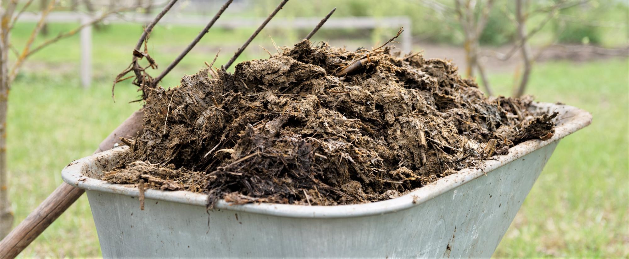 Hestemøj i trillebør. Foto: Ukendt kilde