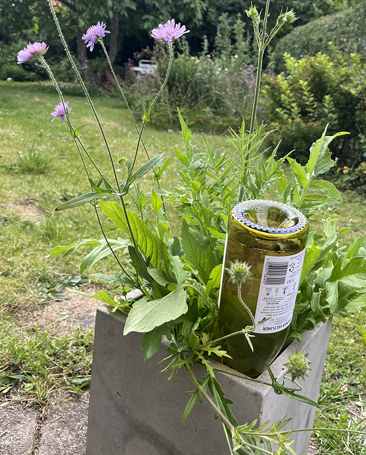En fyldt flaske vendt på hovedet i krukkejorden kan give krukken vand i flere dage, men rækker ikke, hvis man er væk på ferie i 2-3 uger. Foto: Haveselskabet