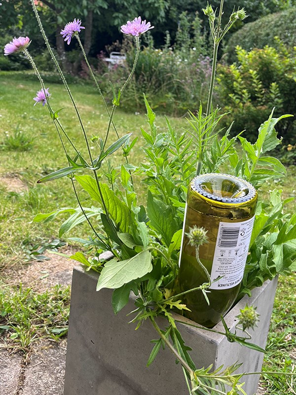En fyldt flaske vendt på hovedet i krukkejorden kan give krukken vand i flere dage, men rækker ikke, hvis man er væk på ferie i 2-3 uger. Foto: Haveselskabet