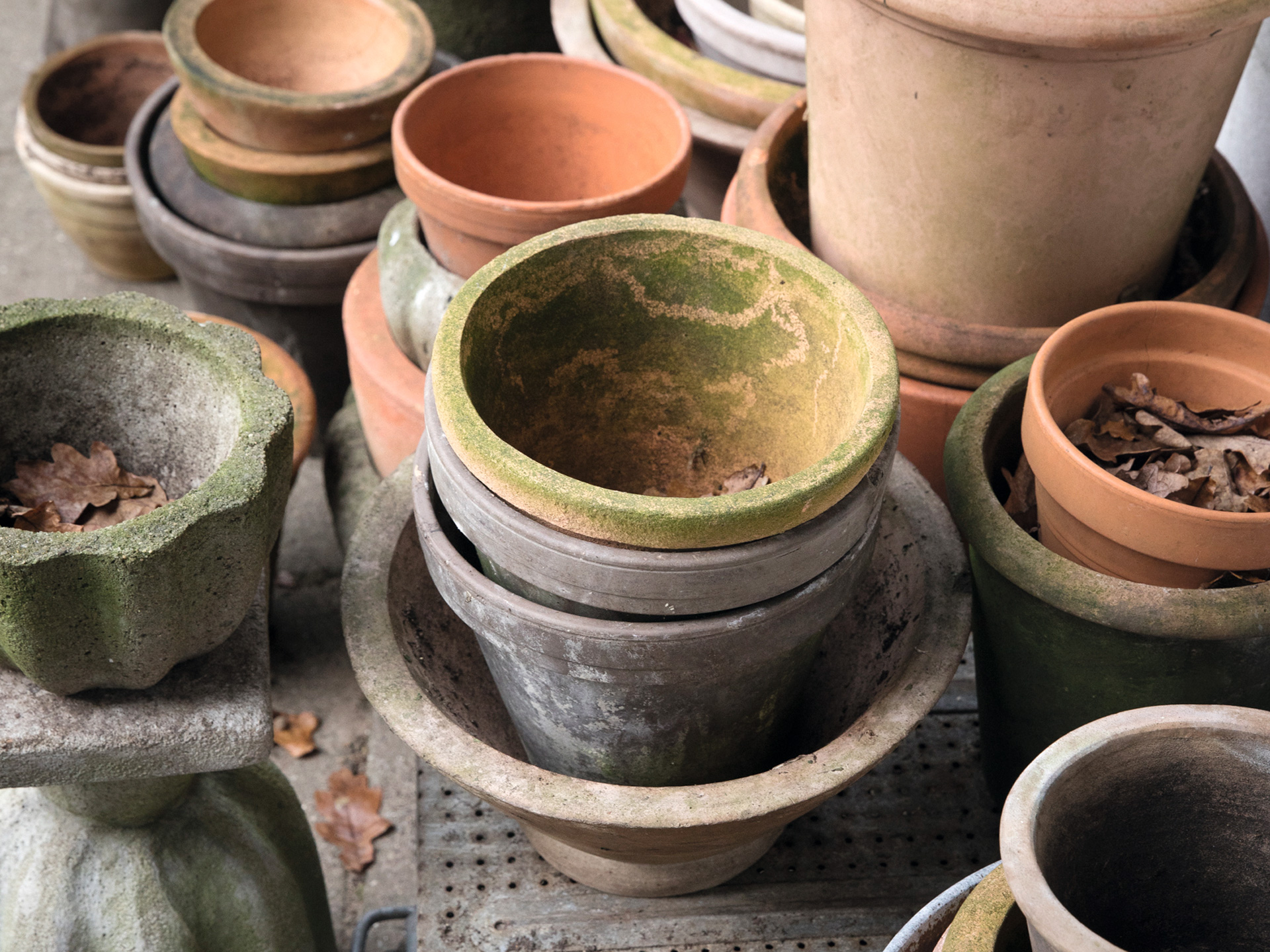 Krukker i forskellige former og størrelser, vælg rette krukke til rette plante. foto: Ann Malmgren