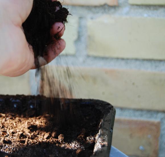 Pottejord. Foto: Haveselskabet