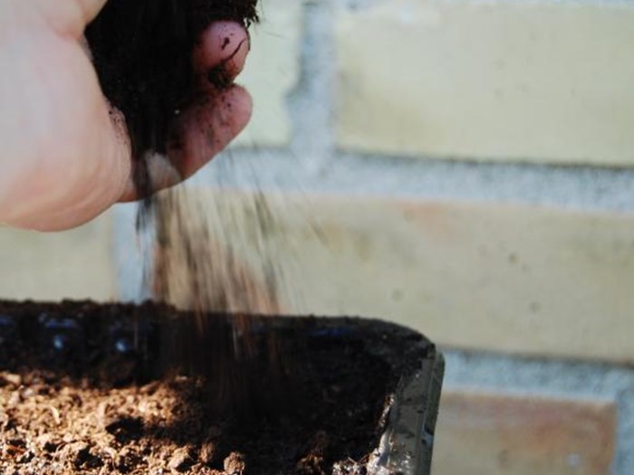 Pottejord. Foto: Haveselskabet