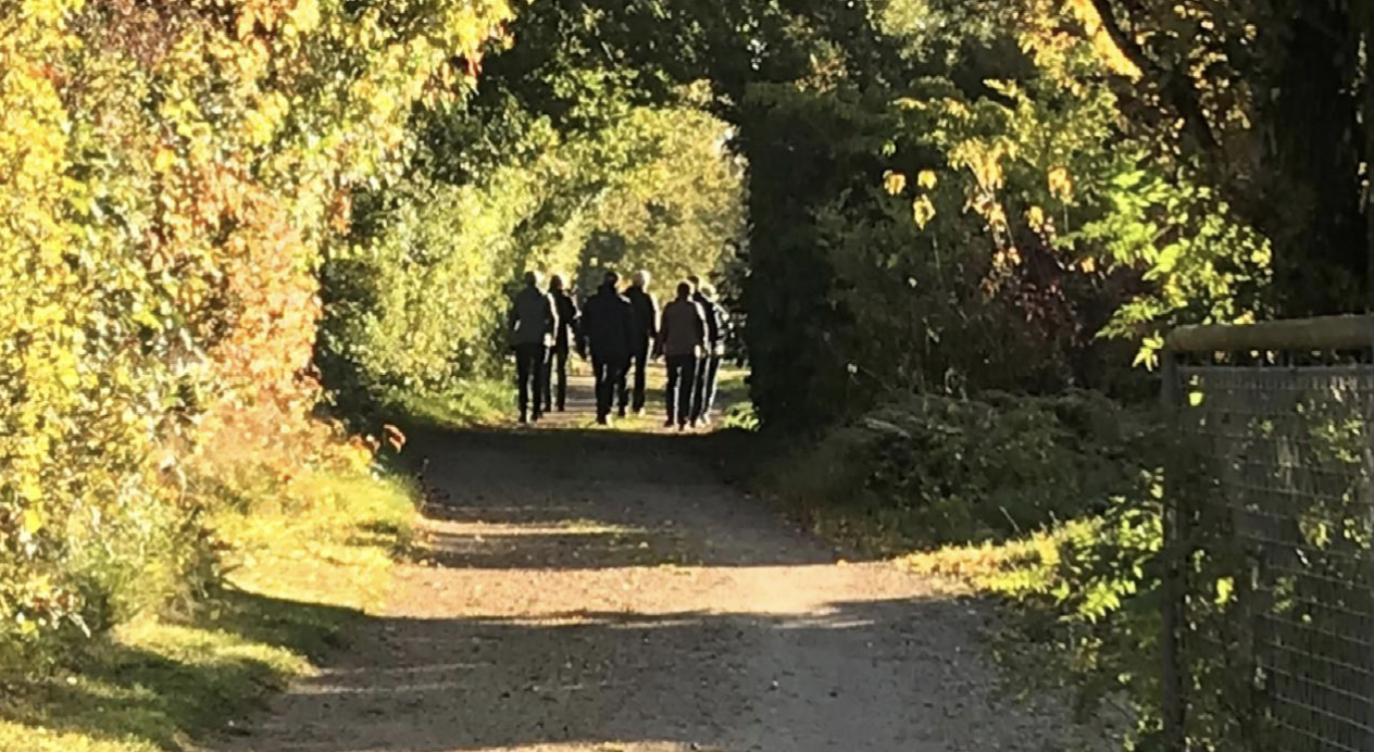 Vestjyllands Parkarboret