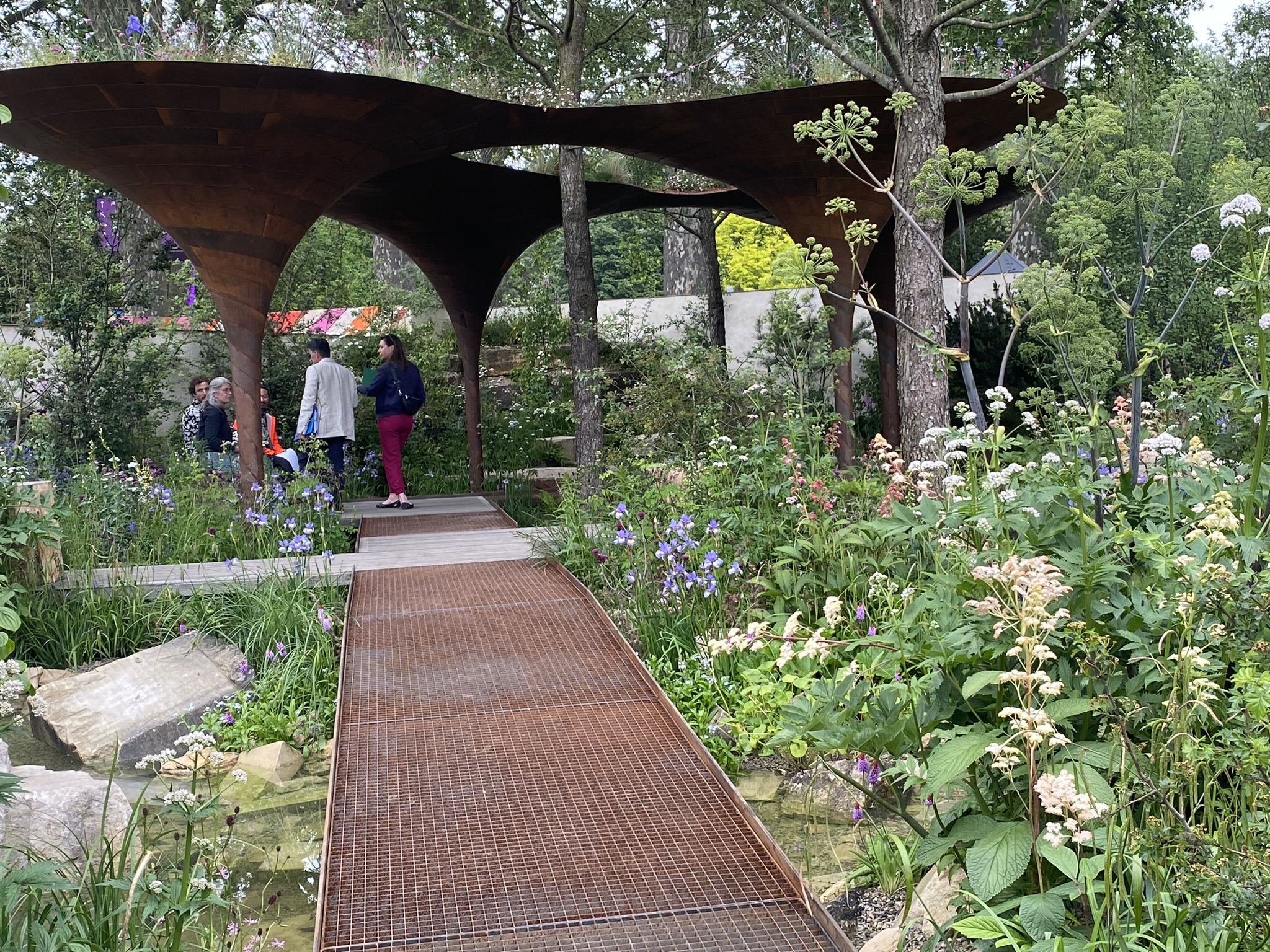 Showhave ved Chelsea Flower Show designet af Tom Massey og Je Ahn. Foto: Haveselskabet