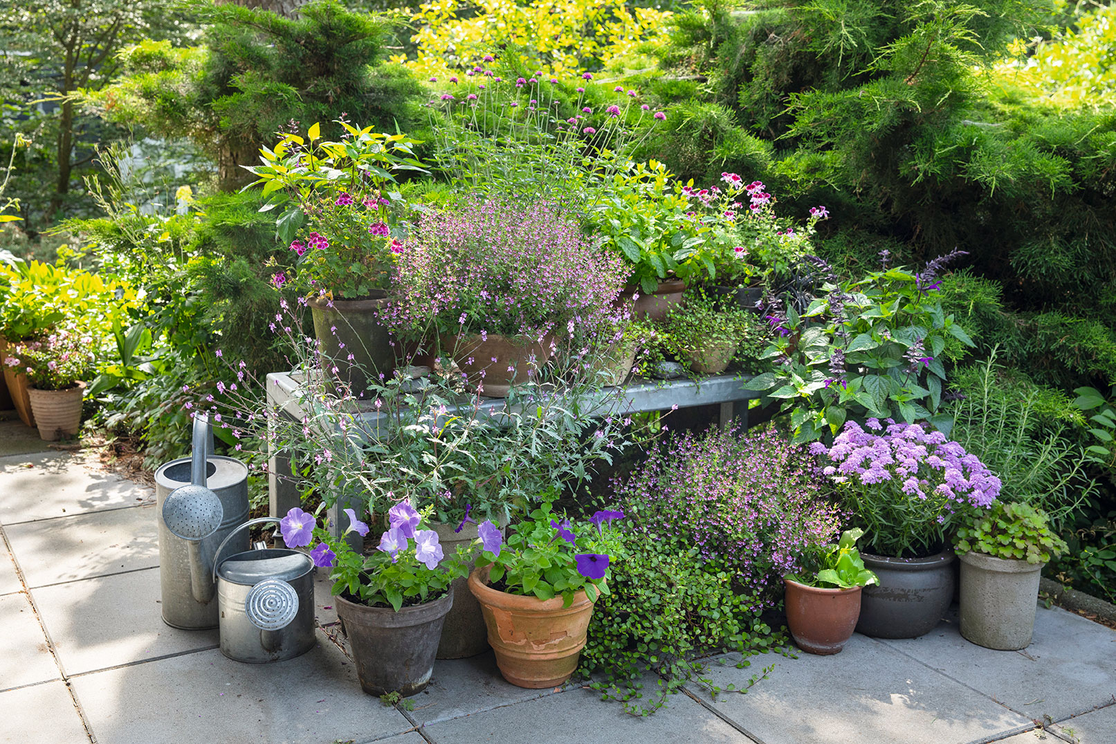 Krukkeopstilling kreeret af Lotte Bjarke. Foto: Ann Malmgren