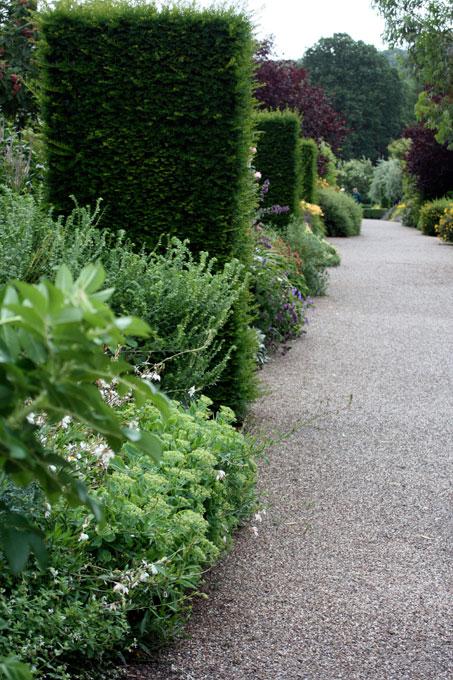 Formklippede søjler af taks. Foto: Jeanette Thysen