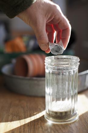 Frø blandes med sand. Foto: Frank Kirkegaard