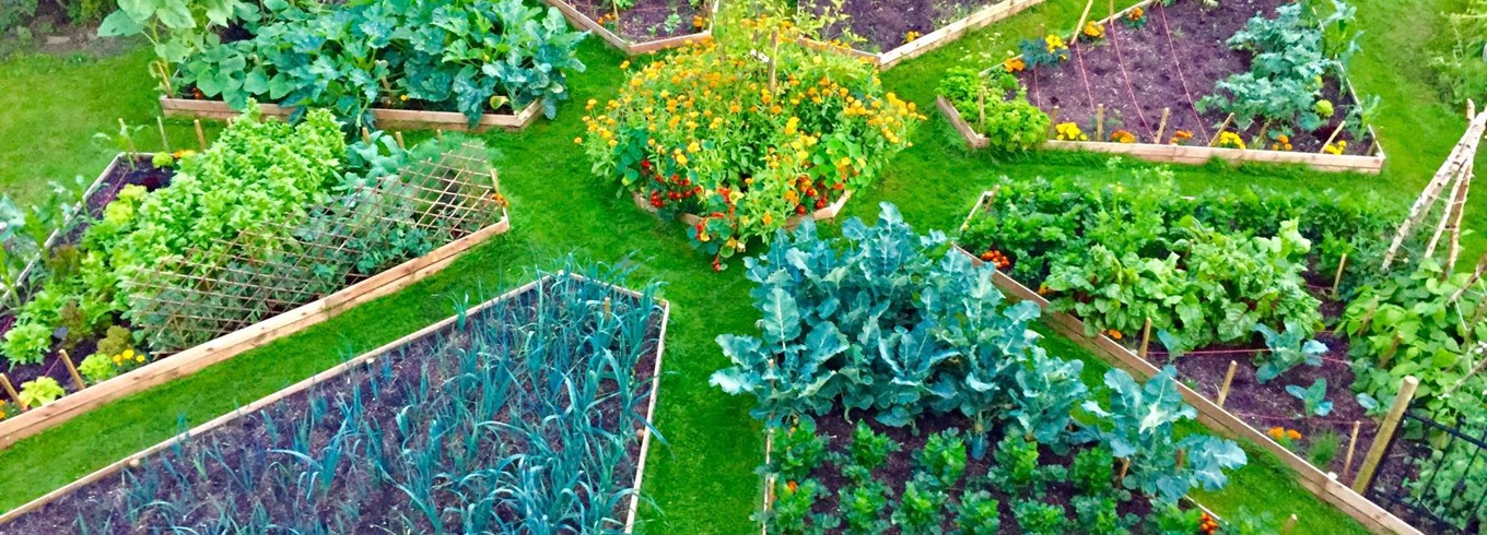 Køkkenhave udformet som en blomst hos Berg's Fairytale Garden