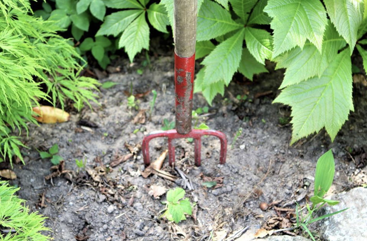 Vestjyllands Parkarboret