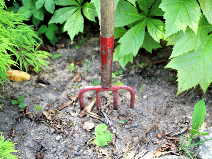 Vestjyllands Parkarboret