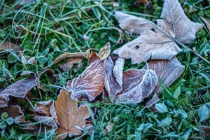 Gør haven klar til nattefrost. Undgå frost og skader i vandhane og planter.
