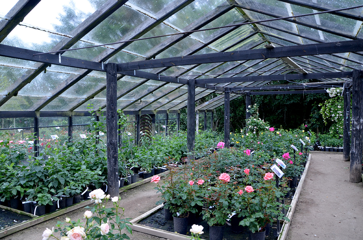 Heides Planteskole. Foto: Haveselskabet