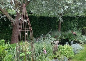 Bustur Solbakken Susanne