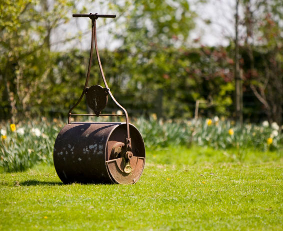 Græsplæne, tromle. Foto: iStockphoto