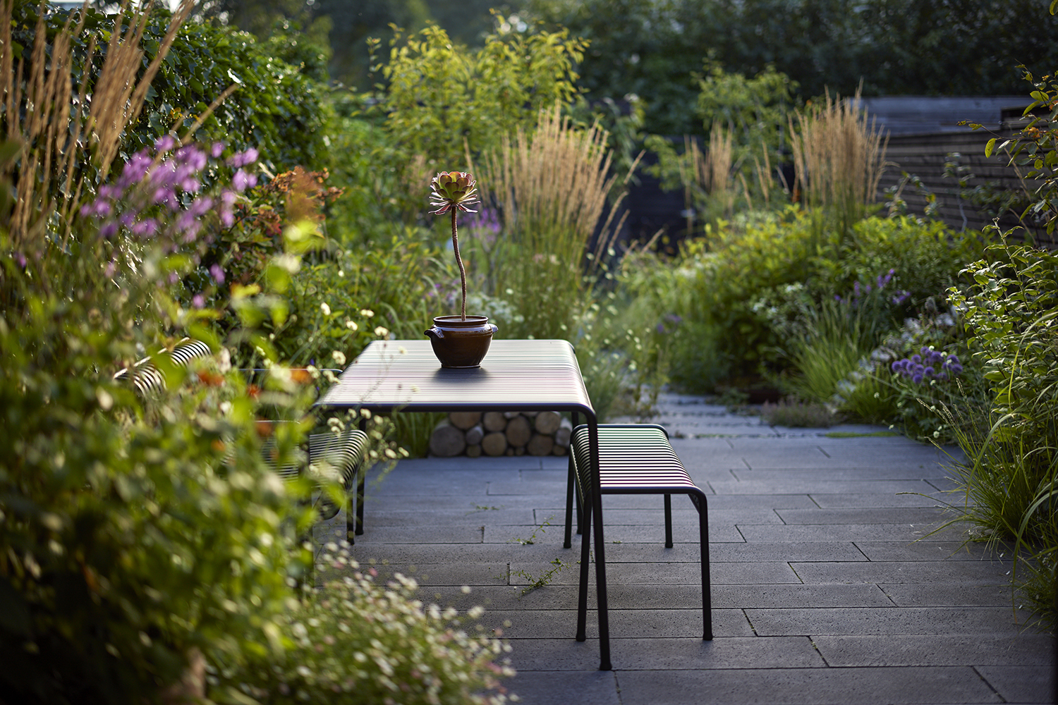 Terrassen ligger umiddelbart uden for bagdøren og fungerer på den måde som en forlængelse af stuen. Planterne er trukket tæt op mod huset for at give fornemmelsen af at være omsluttet af grønt. Foto: Alister Thorpe.