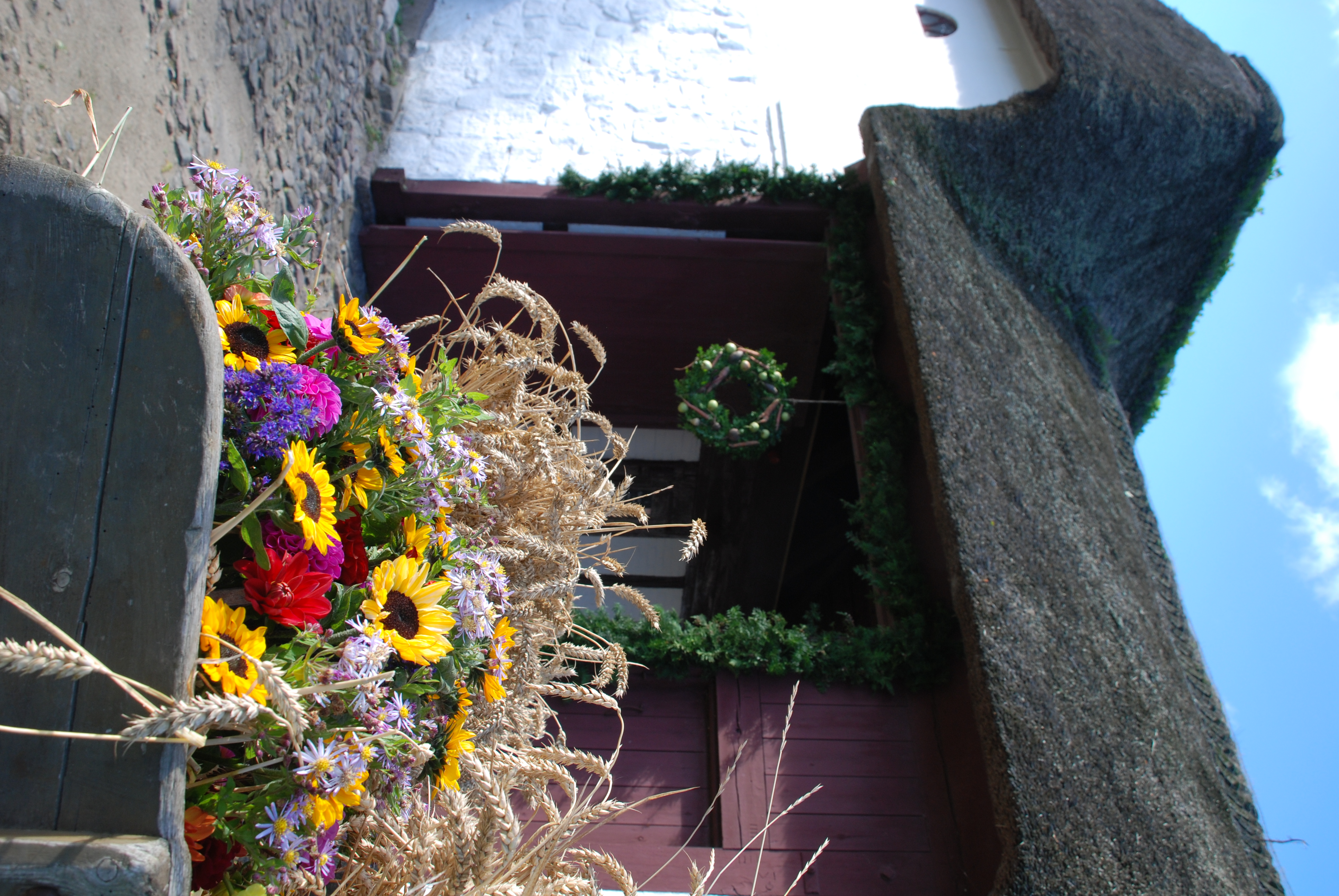 Planternes Dag på Glud Museum