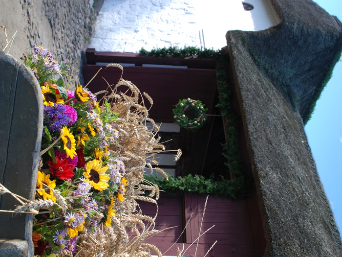 Planternes Dag på Glud Museum