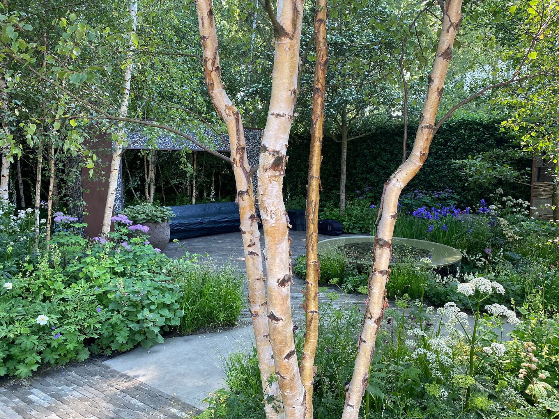 Showhave ved Chelsea Flower Show 2024 designet af Ula Maria. Foto: Haveselskabet
