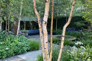 Showhave ved Chelsea Flower Show 2024 designet af Ula Maria. Foto: Haveselskabet