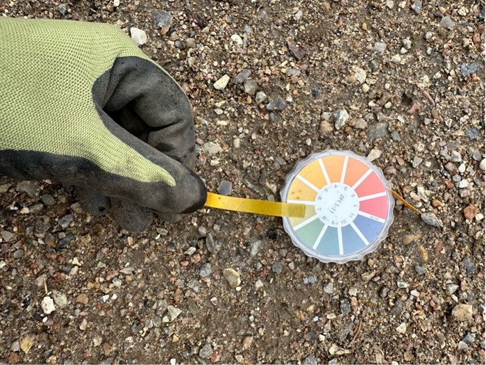 Med et pH-indikatorpapir kan man måle jordens pH-værdi. Foto: Haveselskabet