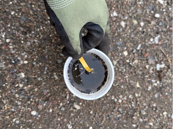 3. Dyp en strimmel pH-indikatorpapir kortvarigt i blandingen. Foto: Haveselskabet