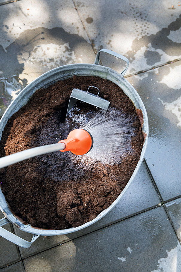 Plantejorden vandes godt op. Foto: Ann Malmgren