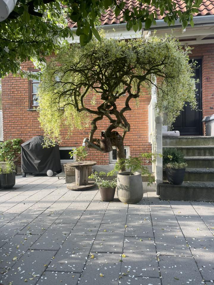 Foto: Madeleine Lindgreen Feldthusen