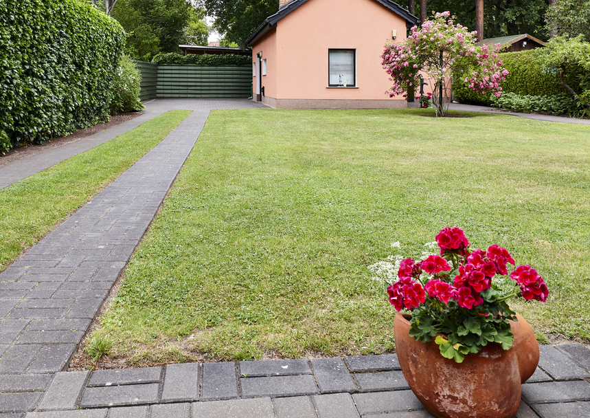 Der er ikke meget i denne have, der kan lokke insekterne til. Foto: Istock/Saruservice