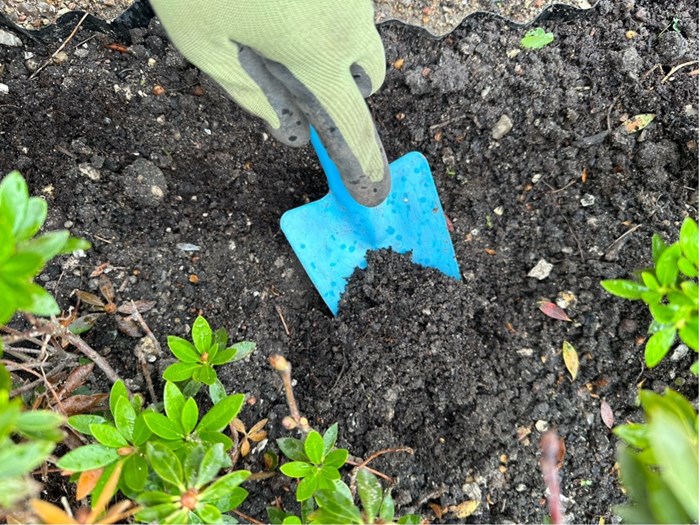 Jord på skovl Foto: Haveselskabet