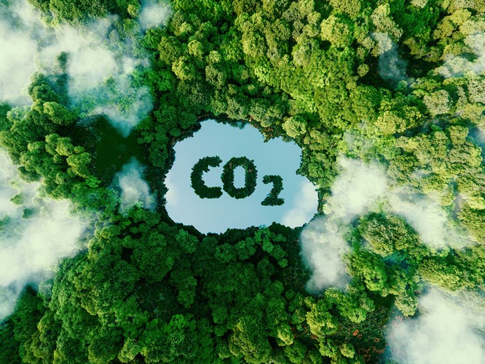 Foto: Istock