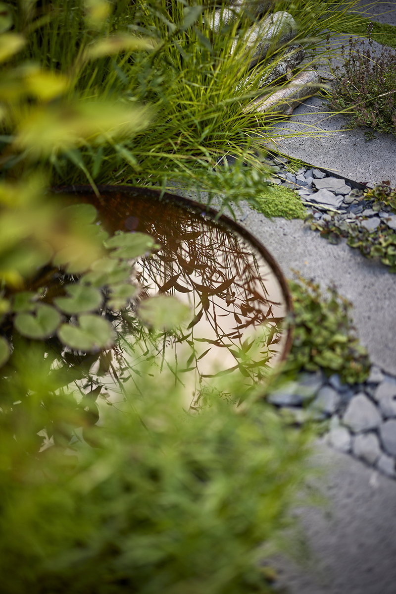 Foto: Alister Thorpe