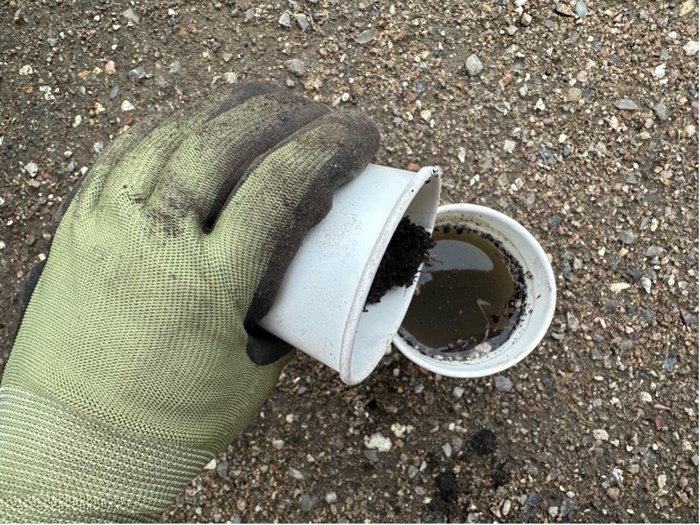 1.Bland jord og vand i forholdet 1:2,5. Foto: Haveselskabet