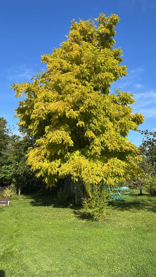 Foto: Pia Bennike Hirshals