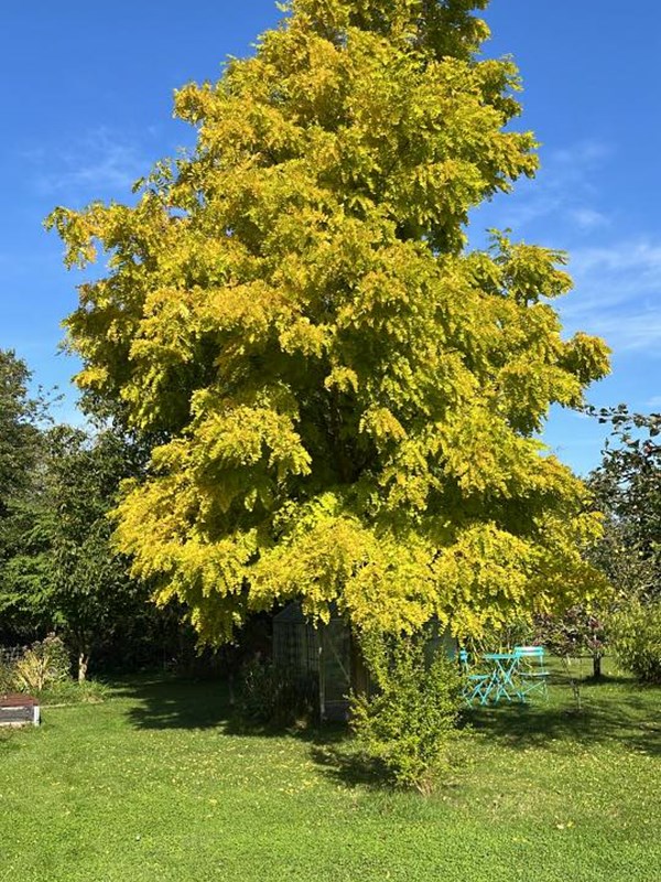 Foto: Pia Bennike Hirshals