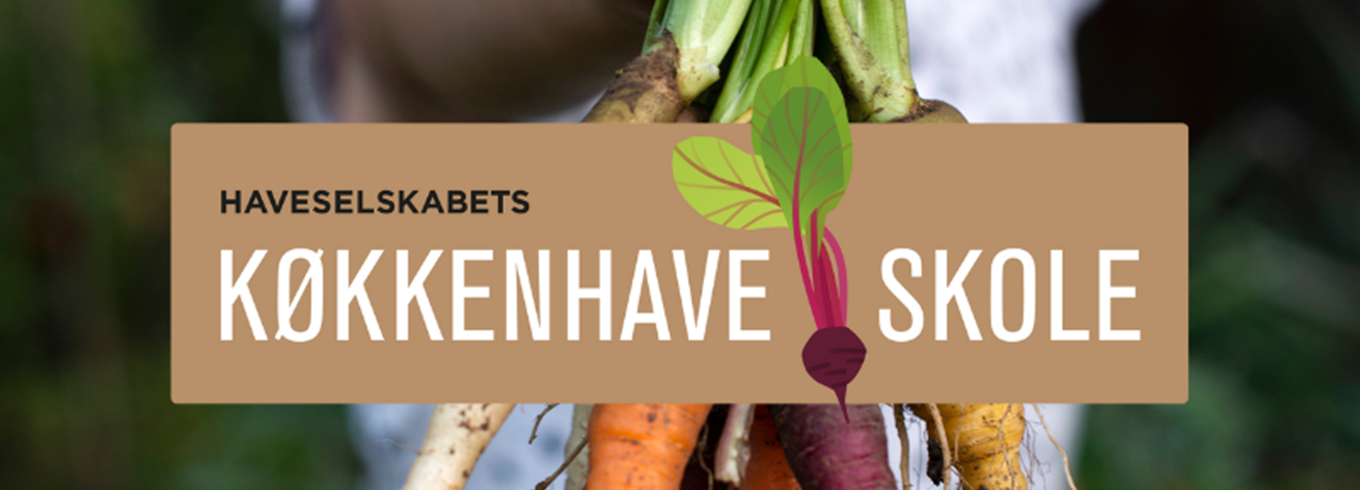 Lær at dyrke grøntsager fra jord til bord i Køkkenhaveskolen